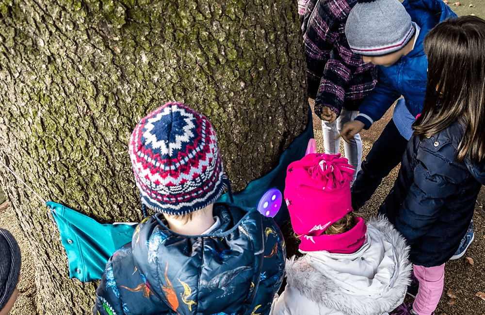 Three children playing with Gaia. They are focused on a tree trunk wher the Gaia device has been installed.
